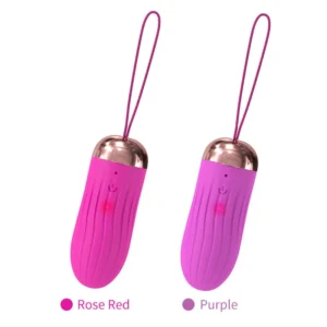 Pause & Play Waterproof Vibrating Egg Personal Massager – Body-Safe Silicone | Intimate Wellness Device